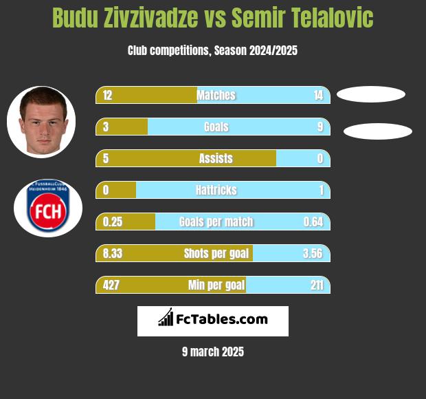 Budu Zivzivadze vs Semir Telalovic h2h player stats