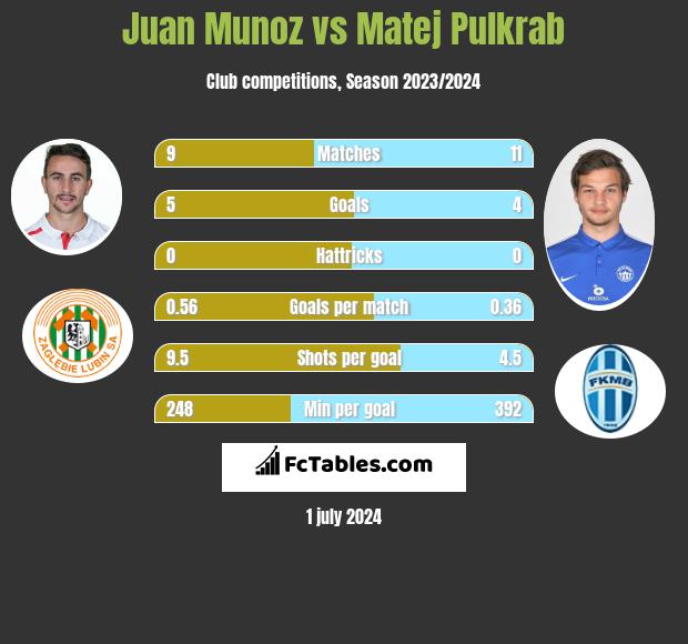 Juan Munoz vs Matej Pulkrab h2h player stats