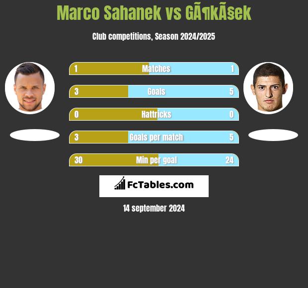 Marco Sahanek vs GÃ¶kÃ§ek h2h player stats