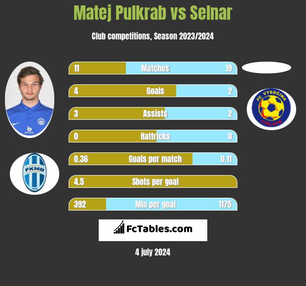 Matej Pulkrab vs Selnar h2h player stats