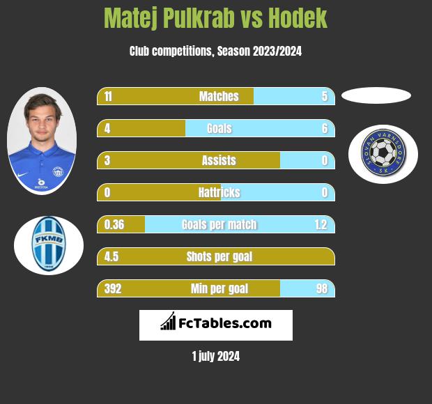Matej Pulkrab vs Hodek h2h player stats