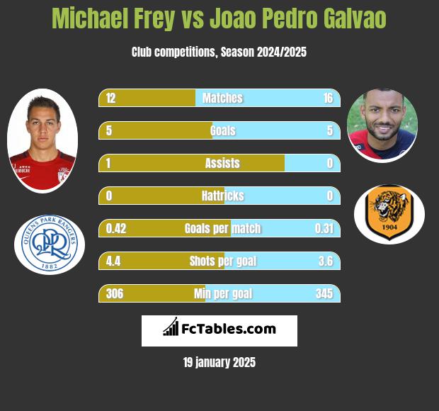 Michael Frey vs Joao Pedro Galvao h2h player stats