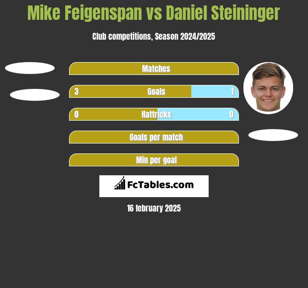 Mike Feigenspan vs Daniel Steininger h2h player stats