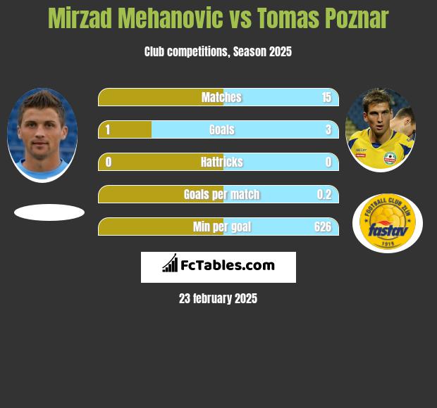 Mirzad Mehanovic vs Tomas Poznar h2h player stats