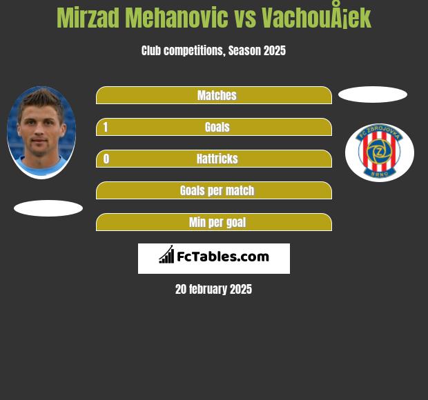 Mirzad Mehanovic vs VachouÅ¡ek h2h player stats