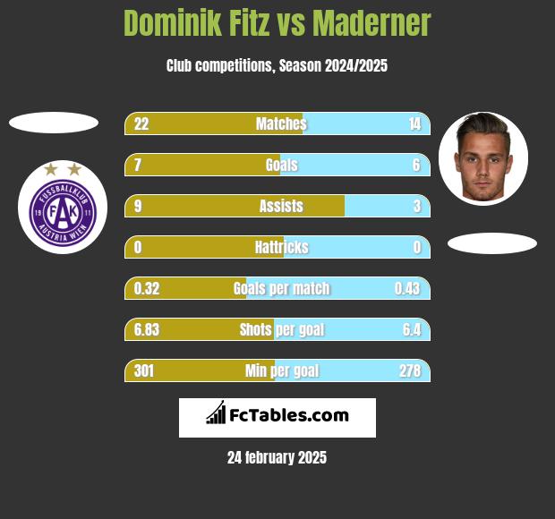 Dominik Fitz vs Maderner h2h player stats