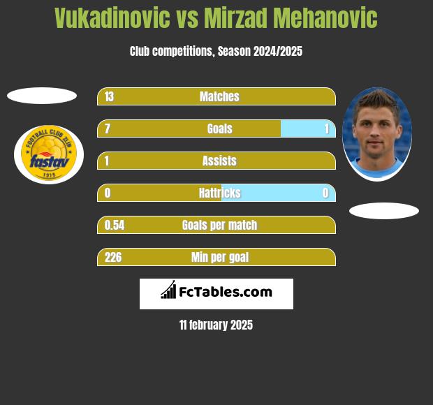 Vukadinovic vs Mirzad Mehanovic h2h player stats