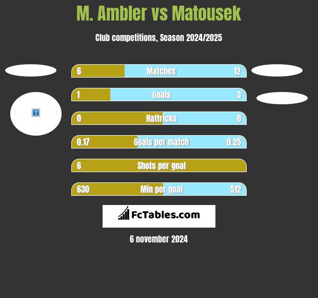 M. Ambler vs Matousek h2h player stats