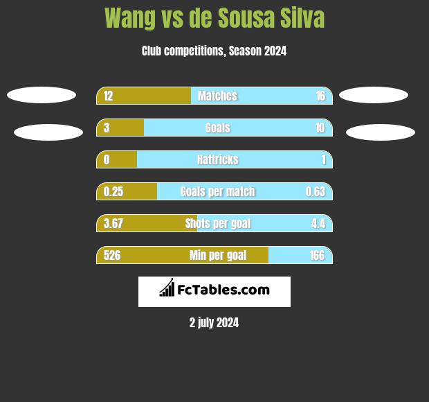 Wang vs de Sousa Silva h2h player stats