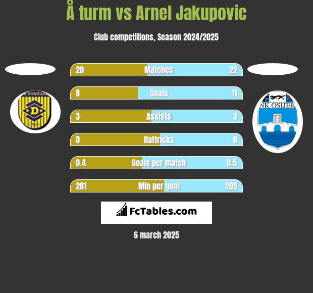 Å turm vs Arnel Jakupovic h2h player stats