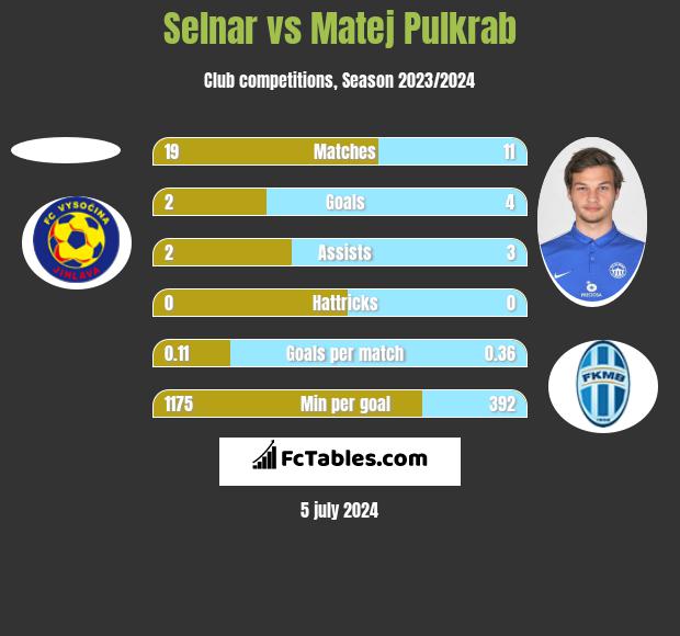 Selnar vs Matej Pulkrab h2h player stats