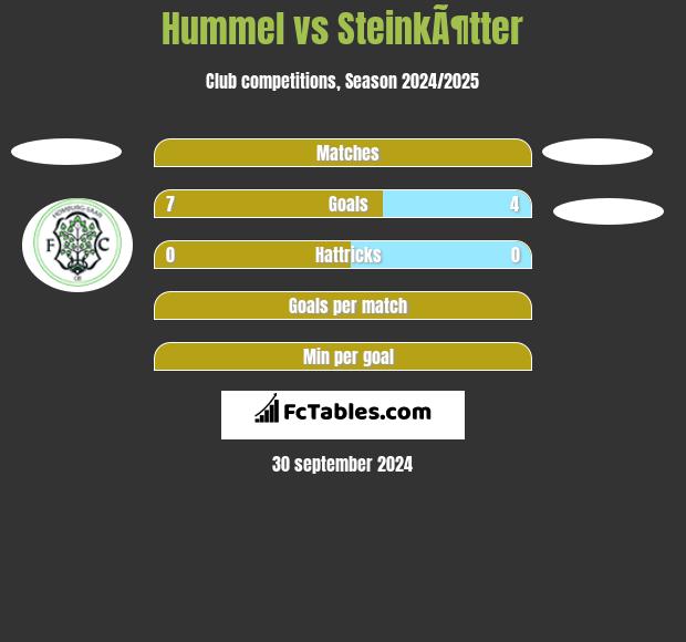 Hummel vs SteinkÃ¶tter h2h player stats