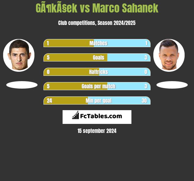 GÃ¶kÃ§ek vs Marco Sahanek h2h player stats