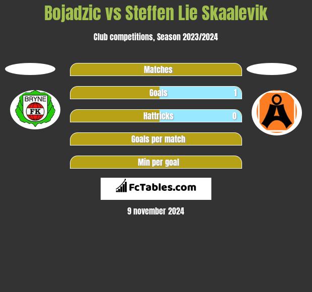 Bojadzic vs Steffen Lie Skaalevik h2h player stats