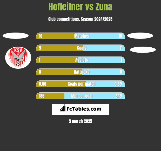 Hofleitner vs Zuna h2h player stats