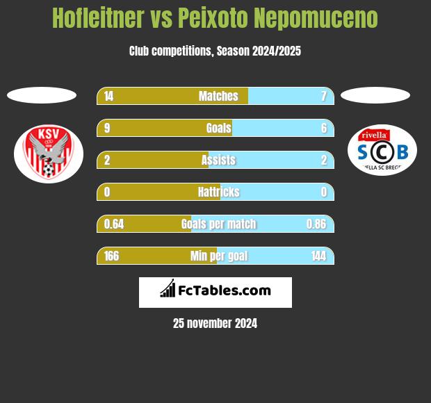 Hofleitner vs Peixoto Nepomuceno h2h player stats