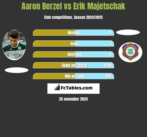 Aaron Berzel vs Erik Majetschak h2h player stats