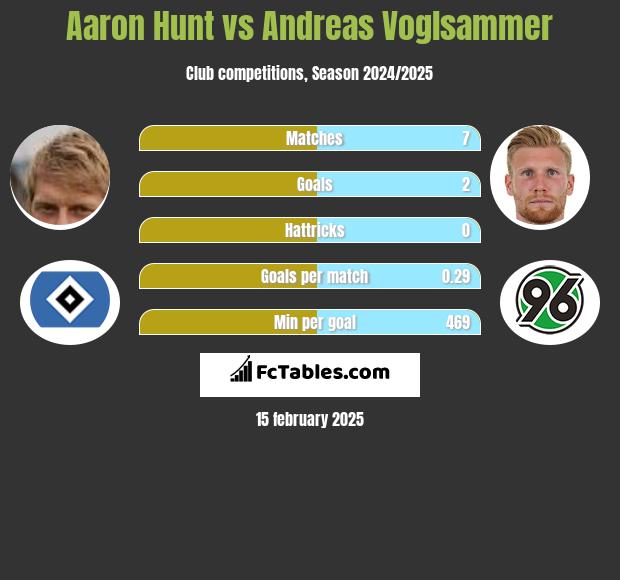 Aaron Hunt vs Andreas Voglsammer h2h player stats