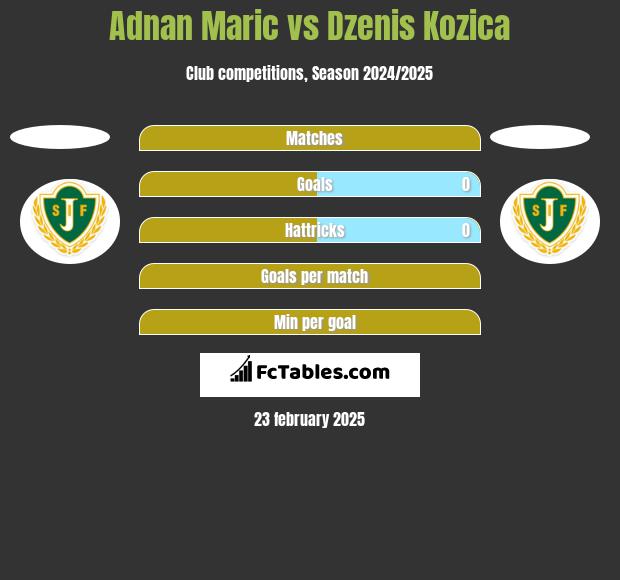 Adnan Maric vs Dzenis Kozica h2h player stats