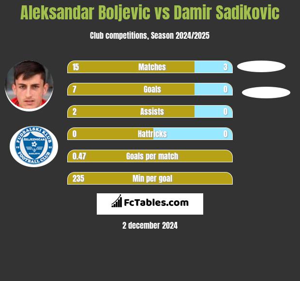 Aleksandar Boljevic vs Damir Sadikovic h2h player stats