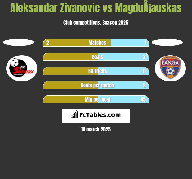 Aleksandar Zivanovic vs MagduÅ¡auskas h2h player stats