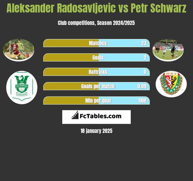 Aleksander Radosavljevic vs Petr Schwarz h2h player stats