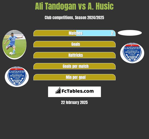 Ali Tandogan vs A. Husic h2h player stats