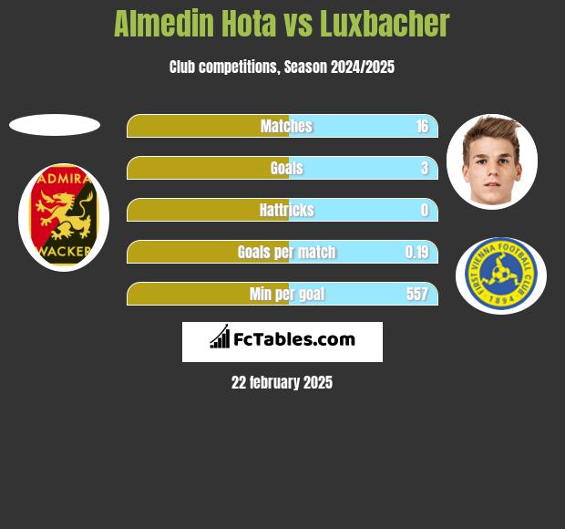 Almedin Hota vs Luxbacher h2h player stats