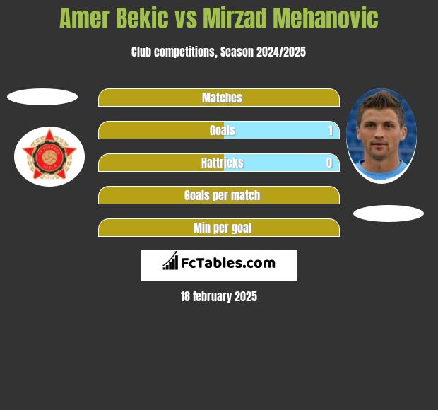 Amer Bekic vs Mirzad Mehanovic h2h player stats