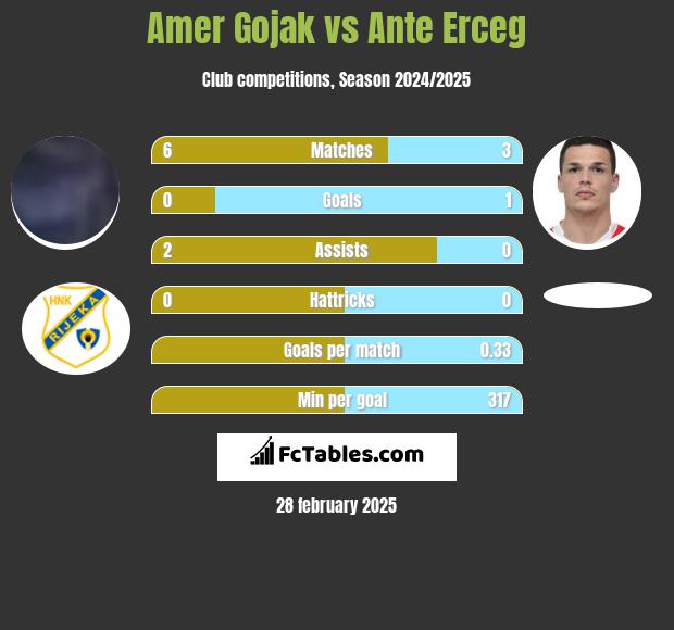 Amer Gojak vs Ante Erceg h2h player stats