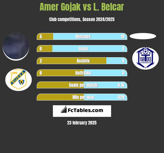 Amer Gojak vs L. Belcar h2h player stats