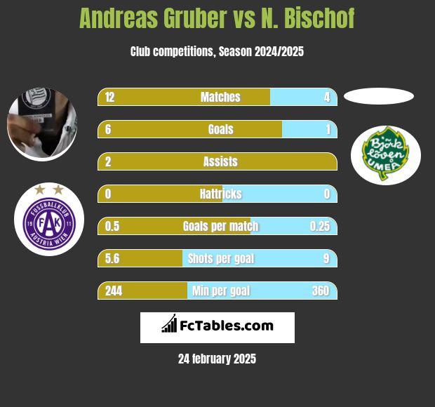 Andreas Gruber vs N. Bischof h2h player stats