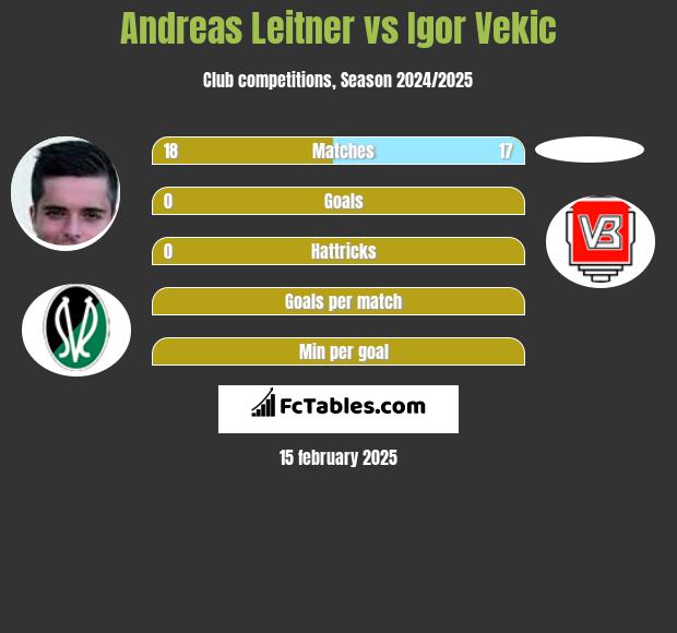 Andreas Leitner vs Igor Vekic h2h player stats