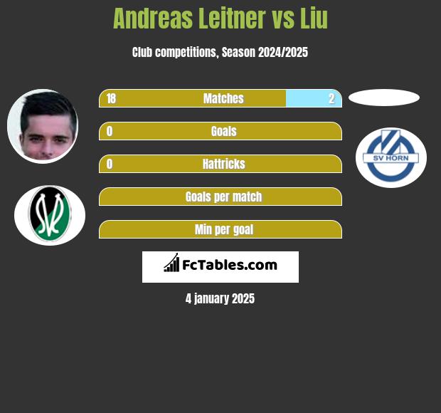 Andreas Leitner vs Liu h2h player stats