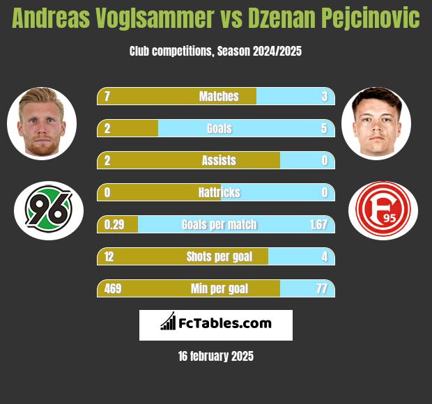 Andreas Voglsammer vs Dzenan Pejcinovic h2h player stats