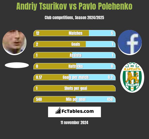 Andriy Tsurikov vs Pavlo Polehenko h2h player stats