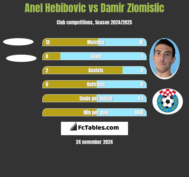 Anel Hebibovic vs Damir Zlomislic h2h player stats