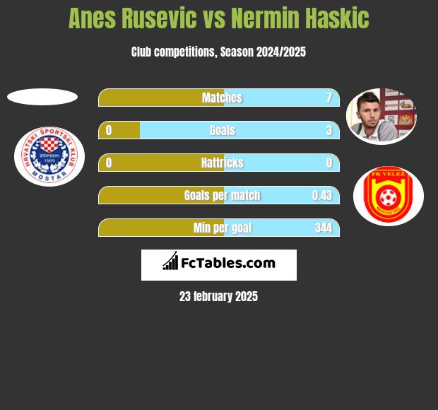 Anes Rusevic vs Nermin Haskic h2h player stats