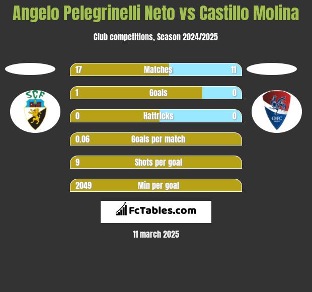 Angelo Pelegrinelli Neto vs Castillo Molina h2h player stats