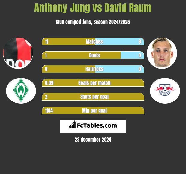 Anthony Jung vs David Raum h2h player stats