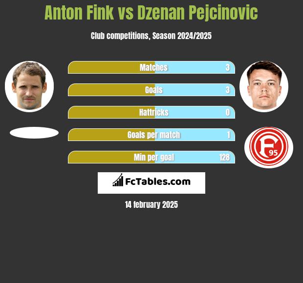 Anton Fink vs Dzenan Pejcinovic h2h player stats