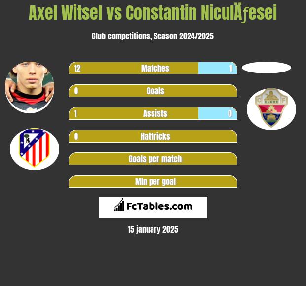 Axel Witsel vs Constantin NiculÄƒesei h2h player stats