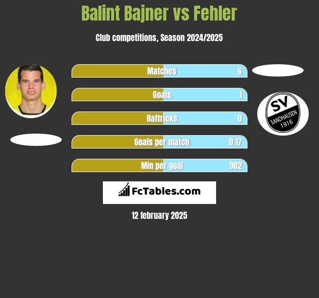 Balint Bajner vs Fehler h2h player stats