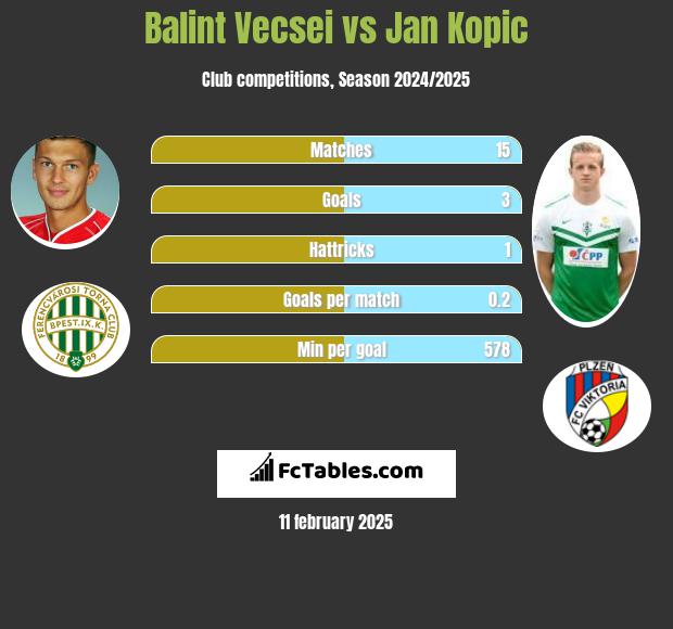 Balint Vecsei vs Jan Kopic h2h player stats