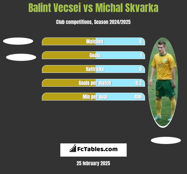 Balint Vecsei vs Michal Skvarka h2h player stats