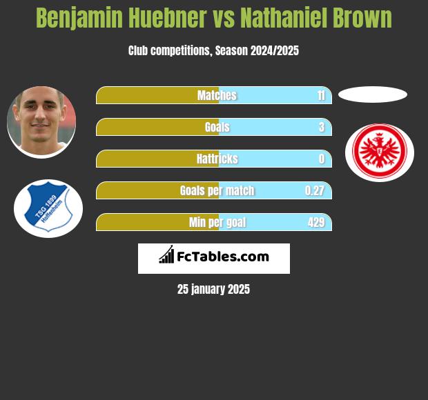 Benjamin Huebner vs Nathaniel Brown h2h player stats