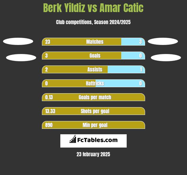 Berk Yildiz vs Amar Catic h2h player stats