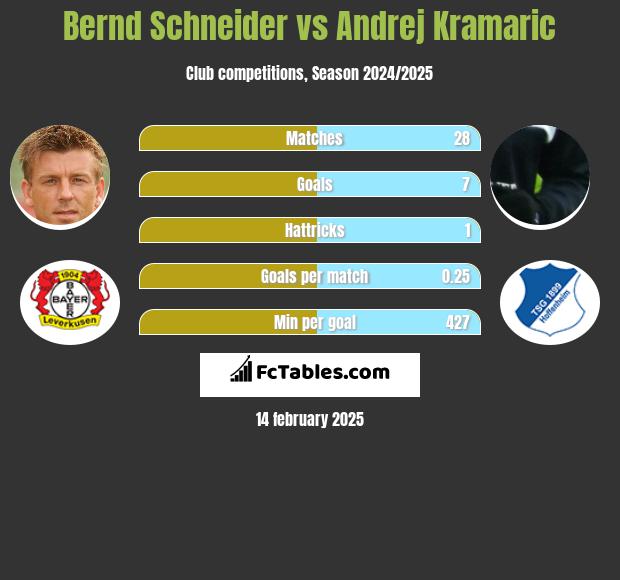 Bernd Schneider vs Andrej Kramaric h2h player stats