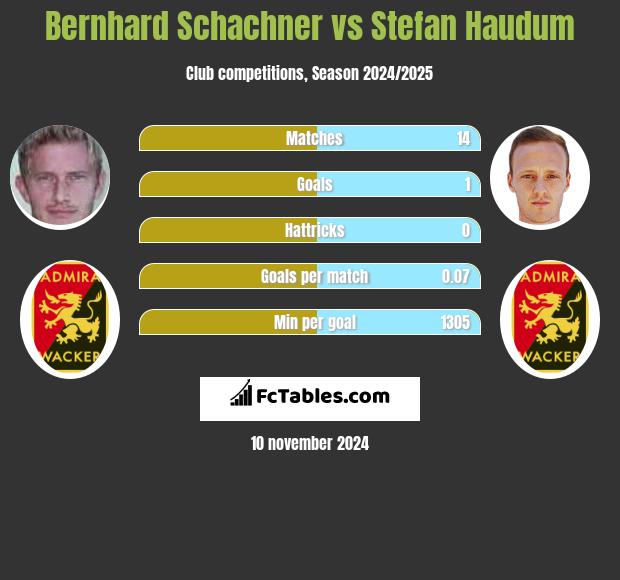 Bernhard Schachner vs Stefan Haudum h2h player stats