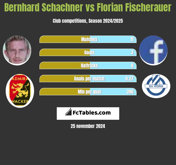 Bernhard Schachner vs Florian Fischerauer h2h player stats